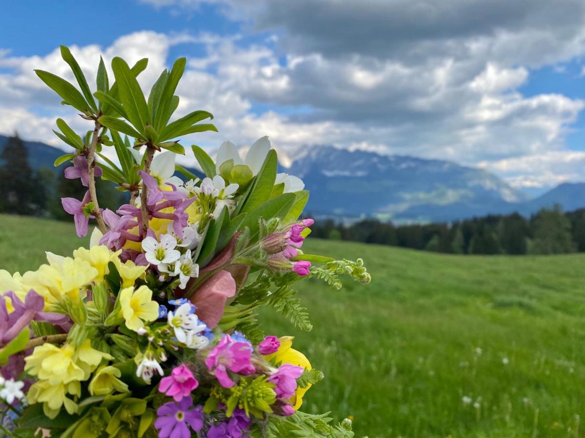 Obersdorfer Hof Guest House Bad Mitterndorf Eksteriør bilde